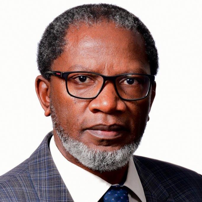 Dr Paseka Leeuw, head of the School of Mining Engineering at Wits University.