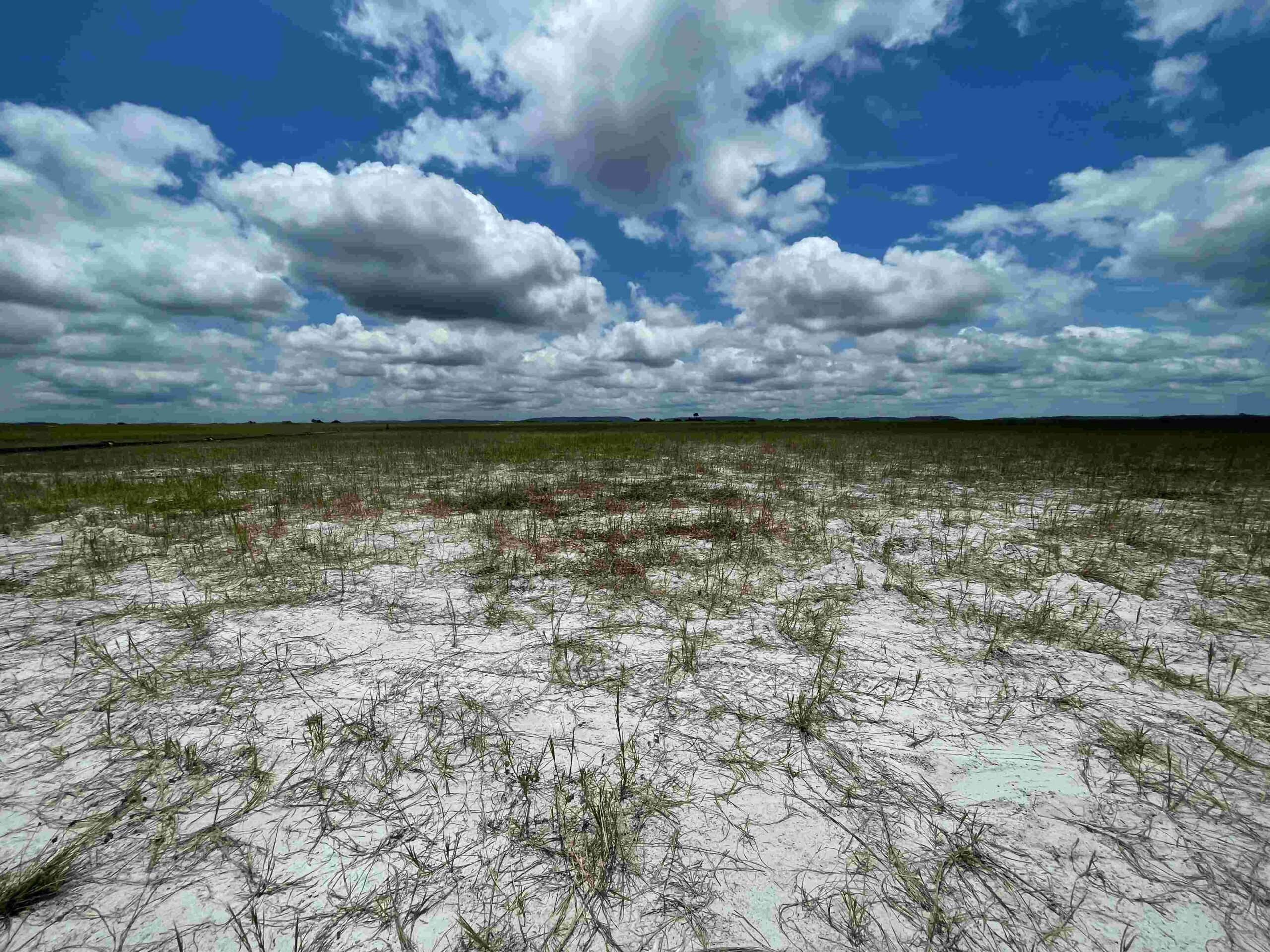 From early-stage risk assessments to valuations for mergers and acquisitions, due diligence reviews of environmental and social compliance need to cover a wide range of potential issues.