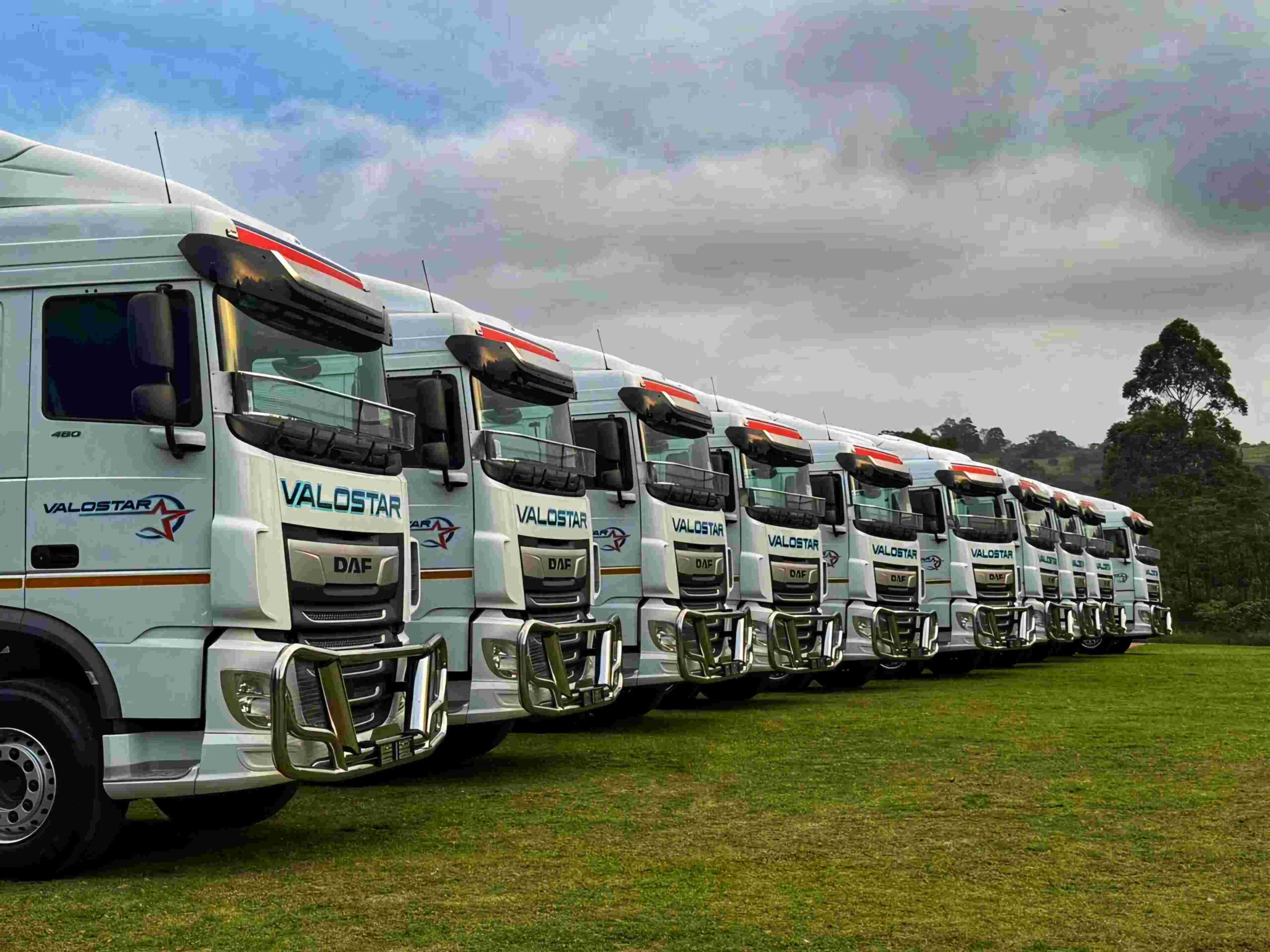 Satisfied with the initial five trucks, the company has taken delivery of a further ten DAF units – this time opting for DAF XF 480 units.